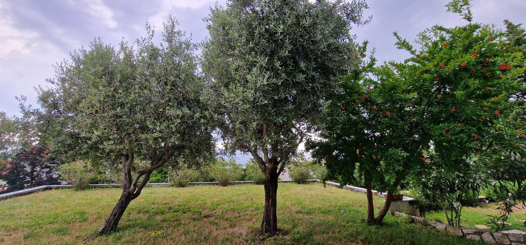 דירות נובי ווינודולסקי Na-Vi מראה חיצוני תמונה